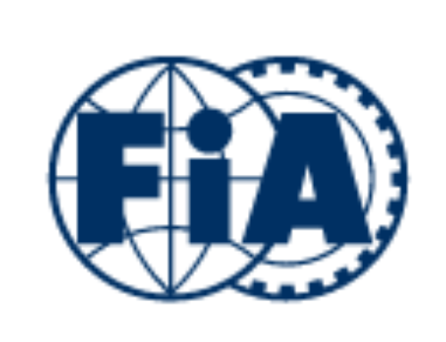 FIA Road Safety Index, November 2022