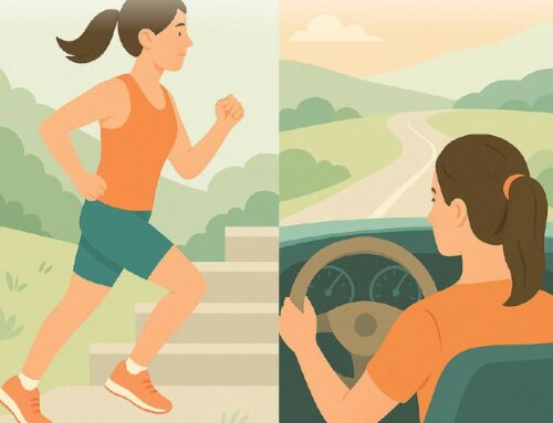 The impact of physical fitness on road safety and driver behaviour on rural roads, July 2025